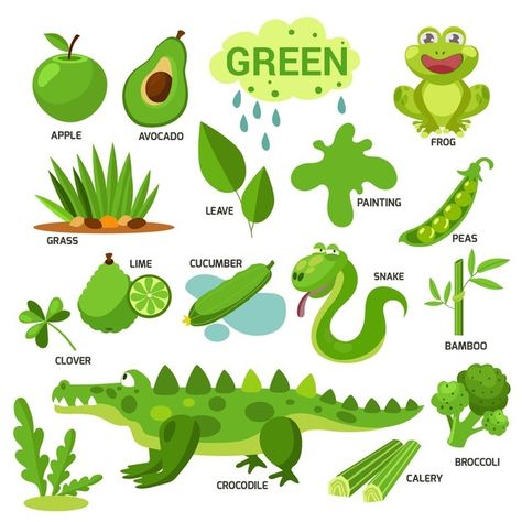 Colors and vocabulary set in english Fre... | Free Vector #Freepik #freevector #kids #education #green #color Jungle Theme Classroom Decorations, Green Activities, Easy Preschool Crafts, Color Flashcards, Homemade Scented Candles, Preschool Colors, Flashcards For Kids, Preschool Arts And Crafts, Color Book