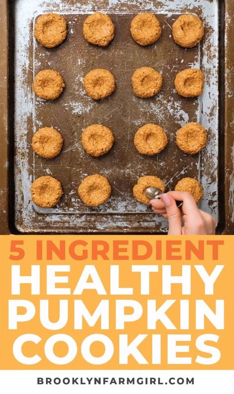 Chicken Feed Recipe, Homemade Chicken Feed, Healthy Pumpkin Cookies, Pumpkin Cookies Recipe, Pumpkin Cookies Healthy, Pumpkin Cookies Easy, Pumpkin Oatmeal Cookies, Pumpkin Cookie Recipe, Pumpkin Recipes Dessert