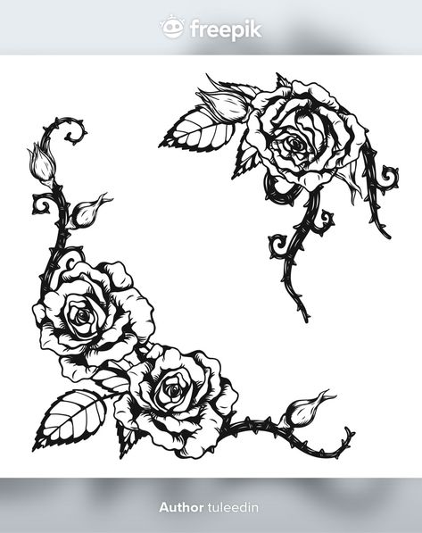 Tatoo Pic, Ornament Tattoo, Vector Rose, Rose Ornament, About Rose, Collage Book, Roses Drawing, Hand Draw, Hand Drawing