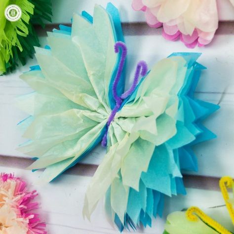 Frilly tissue paper butterflies are a beautiful decoration! In this paper craft DIY, we show an easy technique to create colourful and elegant butterflies. #BeltonButterfly #papercrafts #spring Tissue Paper Butterflies, Make Tissue Paper Flowers, Diy Papillon, Paper Butterfly Crafts, Colour Wedding, Tissue Paper Crafts, Fleurs Diy, Wedding Colour, Diy Butterfly