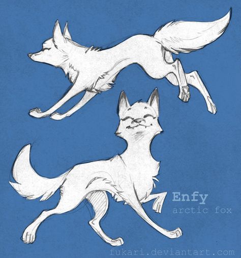 enfy by Fukari on deviantART . Character Sketch / Drawing Illustration inspiration Fox Poses, Anime Wolves, Fox Drawing, Wolf Drawing, Fox Girl, Fox Art, Animal Sketches, Character Sketch, Sketch Drawing