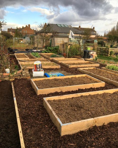 Christine Chatfield on Instagram: “Got a few more hours down the Lottie with several bags of wood chip that went on the paths. We also had a few bags of very pungent farmyard…” Wood Chip Garden Path, Wood Chip Garden, Wood Chips Garden, Vege Garden, Wood Chips, Garden Path, Farm Yard, Farm Gardens, Kitchen Garden