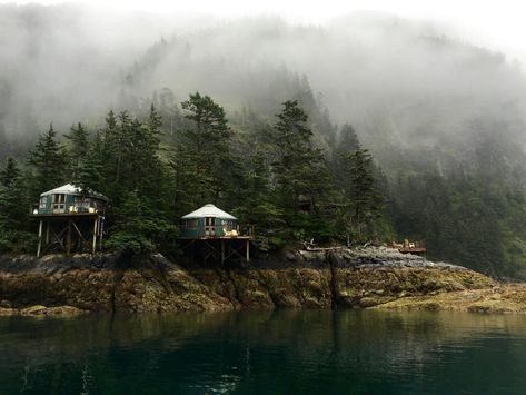 Orca Island Cabins Seward Orca Island, Alaska Homestead, Seward Alaska, Orcas Island, Alaska Travel, North America Travel, National Forest, Hidden Gems, Hot Springs