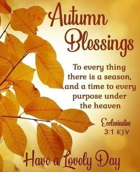 Autumn Blessings via Ecclesiastes 3:1 autumn fall spiritual fall quotes autumn quote autumn blessings fall blessings Fall Bible Verses, Autumn Blessings, Blessings Quotes, Ecclesiastes 3, Thursday Quotes, Harvest Blessings, Spiritual Prayers, Blessed Quotes, Autumn Quotes