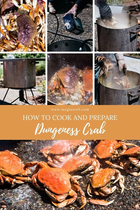 How To Cook Dungeness Crab, Crab Video, Cooking Dungeness Crab, Steamed Seafood, Dungeness Crab Legs, Crab Boil Recipe, Dungeness Crab Recipes, Crab Recipe, Crab Cake Recipes