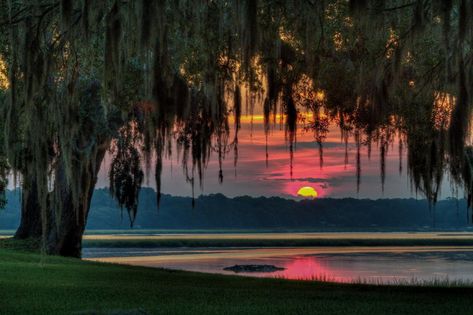 Southern Town, Bluffton South Carolina, South Carolina Beaches, Beaufort Sc, Carolina Beach, Spanish Moss, Types Of Photography, Low Country, Aerial Photography