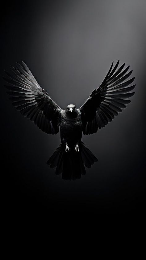 Black Vulture Bird, Iphone Wallpaper Birds, Black Eagle Wallpaper, Dark Iphone Wallpaper, Iphone Wallpaper Dark, Wallpaper Birds, Animal Body Parts, Eagle Wallpaper, Bird Flying