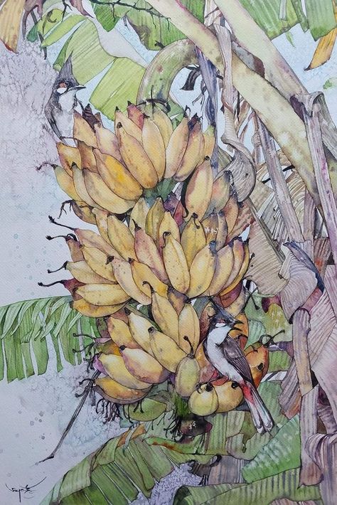 Banana Tree Wallpaper: Bring Tropical Vibes to Your Space Banana Botanical Illustration, Banana Tree Drawing, Banana Tree Wallpaper, Vegetables Illustration, China Building, Indian Drawing, Contemporary Botanical Art, Banana Trees, Vegetable Illustration