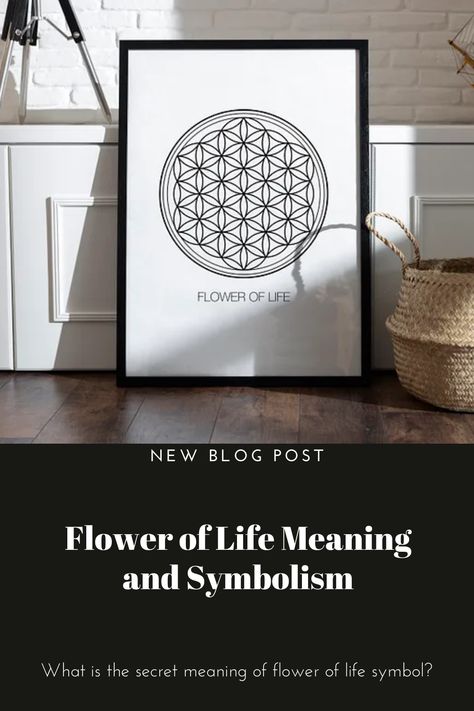 Flower of Life Meaning and Symbolism What is the secret meaning of the flower of life symbol? Flower Of Life Meaning, Flower Of Life Symbol, Life Meaning, Overlapping Circles, The Flower Of Life, Sacred Geometry Symbols, Great Pyramid Of Giza, Symbols And Meanings, The Blueprint