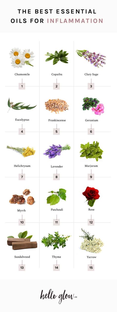 The Best Essential Oils for Inflammation - HelloGlow.co Essential Oils Muscle Pain, Oils For Inflammation, Essential Oils For Inflammation, Essential Oil Education, Yl Essential Oils, Aromatic Oils, Young Living Oils, Best Essential Oils, Aromatherapy Oils