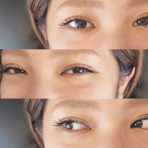 Natural Lash Extensions Monolid, Lash Extensions Natural Asian, Korean Lashes Extensions, Korean Eyelash Extensions Styles, Natural Asian Eyelash Extensions, Eyelash Extension Asian Eyes, Eyelash Extensions Monolid Eyes, Lash Extension Asian Eyes, Asian Eyelash Extensions Styles