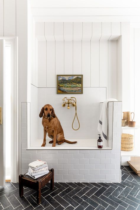 Woodcrest Remodel - Transitional - Bathroom - Salt Lake City - by House of Jade Interiors | Houzz Boho Laundry, Dog Wash Station, Pet Washing Station, Wash Station, Washing Station, Dog Washing Station, Mudroom Laundry Room, Dog Room, Mudroom Laundry