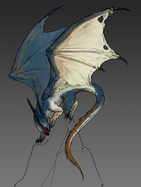 ArtStation - Chromatic Dragons Designs - my take on them , Pamela Łuniewska Fantasy Sketches, Chromatic Dragon, Dragon Design, Story Inspiration, Dragon Art, Creature Design, Skyrim, Fantasy World, Personalities