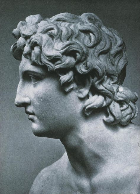 “ Euphranor, Group Philip and Alexander the Great in Quadriga, Roman copy, det. Alexander’s Head, c.338-36 BCE ” Alexander The Great Statue, Roman Busts, Roman Statue, Classic Sculpture, Greek Statues, Roman Sculpture, Greek Sculpture, Alexander The Great, Greek Art