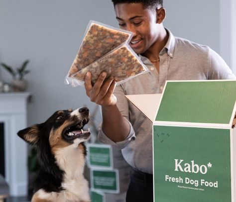 Dog Fresh Food, Cat Food Photography, Dog Food Photography, Fresh Dog Food, Dog Food Delivery, Food Delivery Service, Mexican Street Food, Dog Food Brands, Natural Dog Food