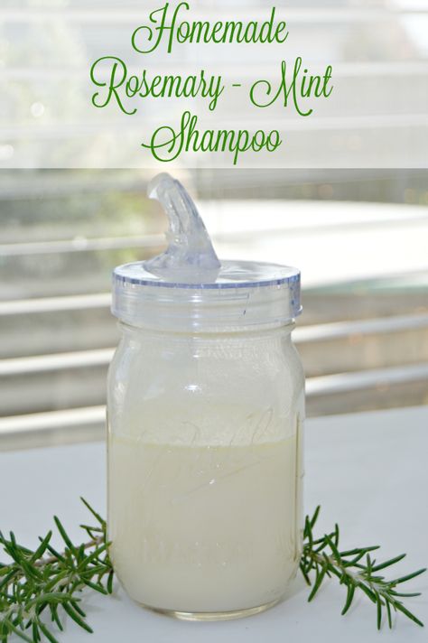 This Homemade Rosemary – Mint Shampoo will leave your hair and scalp feeling and smelling amazing without using harmful chemicals! During the winter, your hair and scalp can really become dry and brittle. Most store bought shampoos contain harmful chemicals that can dry your hair and scalp out instead of helping to moisturize them when...Read More » Rosemary Mint Shampoo, Baking Soda Shampoo Recipe, Historical Recipes, Sunburn Relief, Baking Soda Water, Mint Shampoo, Shampoo Recipe, Canning Tips, Homemade Deodorant