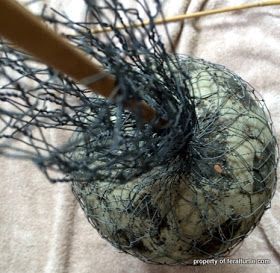 * Chicken Wire Flowers, Giant Allium, Chicken Wire Projects, Chicken Wire Diy, Chicken Wire Sculpture, Chicken Wire Art, Barbed Wire Art, Chicken Wire Crafts, Allium Flowers