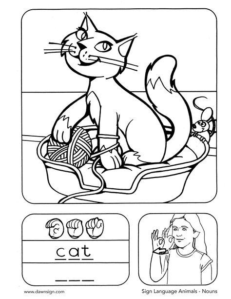 Color this fun printable that includes the sign, fingerspelling, and an image for the word "Cat". #ASL #AmericanSignLanguage #ASLforKids #ASLColoringPages #SignLanguageAnimals #ASLPrintables Asl Coloring Pages, Asl Worksheets Printables, Mentor Activities, Asl Worksheets, Asl Colors, Sign Language For Toddlers, Asl Lessons, Forest Classroom, Teaching Letter Sounds