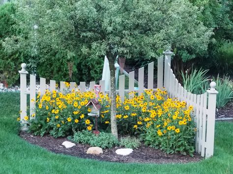 Corner fence I built a few years ago, now with Black eyed Susans in bloom. Corner Flower Bed, Desert Landscape Front Yard, Corner Landscaping, Sloped Backyard, Small Front Yard Landscaping, Corner Garden, Beautiful Yards, White Picket Fence, Fence Landscaping