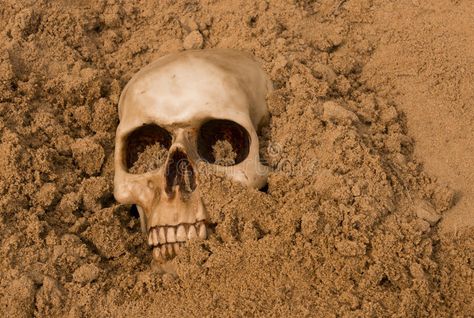 Human skull. Small human skull half buried in the desert sand , #Sponsored, #Small, #skull, #Human, #human, #sand #ad Skeleton Drawings, 20 Century, Human Skull, Stop Motion, The Sand, Large Prints, Archaeology, Art World, Wall Murals