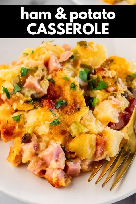 Ham and Potato Casserole is perfect for holiday dinners, gatherings, and potlucks. Baked tender potatoes with savory ham in a cheesy sauce. Potato Ham Bake, Fried Ham And Potatoes, Ham And Mashed Potato Casserole, Ham And Potato Bake, Ham And Chicken Recipes, Ham And Potato Casserole Recipes, Ham And Potatoes Casserole, Ham Casserole Recipes Easy, Ham And Cheese Potato Casserole