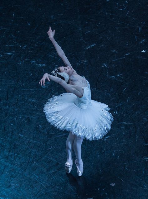 Ballet Wallpaper, Swan Lake Ballet, Raindrops And Roses, Ballet Pictures, Paris Opera Ballet, Ballet Beauty, Ballet Inspiration, Lake Photos, Ballet Photography