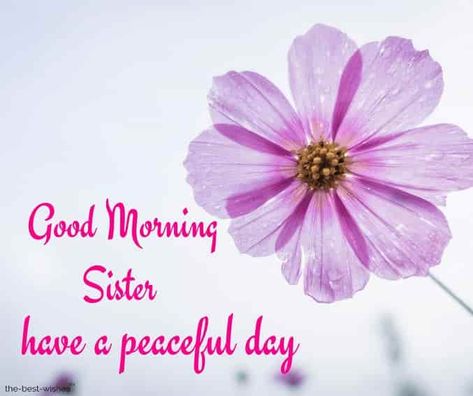 good-morning-sister-have-a-peaceful-day Good Morning Sister Images, Beautiful Sister Quotes, Sister Images, Good Morning Sister Quotes, Morning Sister, Good Night To You, Morning Hugs, Sister Love Quotes, Good Morning Sister