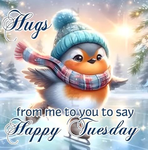 Cold Tuesday Morning, Tuesday Quotes Funny, Happy Sayings, Happy Tuesday Morning, Special Friendship Quotes, Tuesday Greetings, Good Morning Animals, December Days, Good Morning Winter