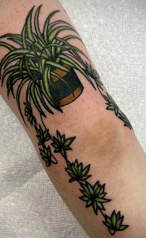 Colored Halloween Tattoos, Plant Tattoo American Traditional, American Traditional Tree Tattoo, Traditional Style Plant Tattoo, American Traditional Vines, Color Plant Tattoo, American Traditional Plants, Filler Tattoos Traditional, American Traditional Fern Tattoo