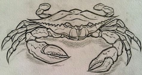 crab tattoos | Crab Sketch, 2011 Mud Crab Tattoo, Crab Line Tattoo, Crab Tattoo Design, Crab Pencil Drawing, Crab Sketch Drawings, Crab Sketch, Crab Line Drawing, Crab Drawing, Crab Ink Drawing