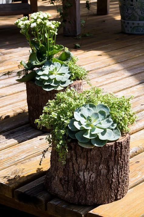 tree stumps with greenery, succulents and white blooms are amazing for a rustic garden space, they look natural and pretty Tree Stump Decor, Tree Stump Planter, Succulent Garden Design, Tree Stumps, Succulent Garden Diy, Succulent Gardening, Garden Yard Ideas, Tree Stump, Deco Floral