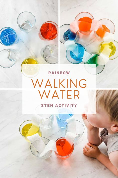 Colorful Science Experiments For Kids, Walking Rainbow Experiment For Kids, Walking Rainbow Experiment, Mixing Colors Activities, Science Activities For Preschoolers, Water Activities For Kids, Walking Water Experiment, Water Activities Preschool, Rainbow Experiment