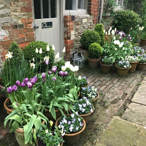 Cosy Garden Ideas, Rainy Climate, Cottage Front Garden, Small Garden Borders, Small English Garden, Terrace Garden Ideas, Flower Containers, Small Courtyard Gardens, Front Garden Landscape