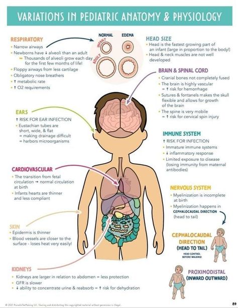 Variations in Pediatric Anatomy and Physiology #medschool #doctor #medicalstudent - Image Credits: Jaenel Kim Pediatric Nurse Practitioner Study, Pediatrician Notes, Pediatric Notes, Pediatric Endocrinology, Pediatric Assessment, Pediatrics Nursing, Pediatric Nursing Study, Pediatric Oncology Nurse, Peds Nursing