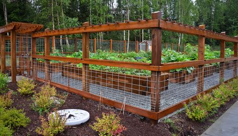 Outdoor Vegetable Garden, Making Raised Garden Beds, Cheap Garden Fencing, Fenced Vegetable Garden, Garden Bed Layout, Vegetable Garden Beds, Garden Fence Ideas, Raised Vegetable Gardens, Diy Garden Fence