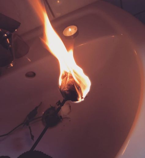 Rose on fire in sink aesthetic Rose On Fire Aesthetic, Rose On Fire, Fire Aesthetic, Small Love Quotes, Beautiful Tumblr, Spanish People, Manager Quotes, Misery Loves Company, Famous Love Quotes