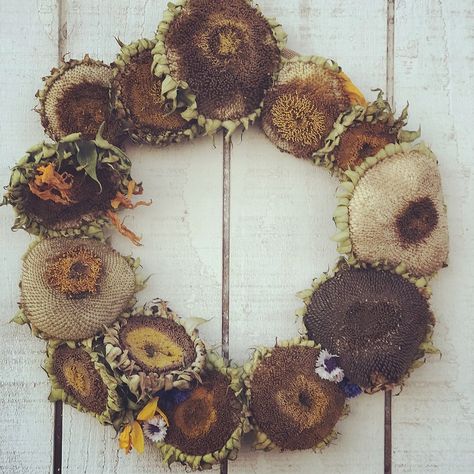 Dried Sunflower Wreath hanging on a barn door Dried Sunflower Wreath, Strawflower Crafts, Dry Sunflowers, Harvest Sunflowers, Painted Sunflowers, Dried Sunflowers, Make Your Own Wreath, Sunflower Head, Sunflower Crafts