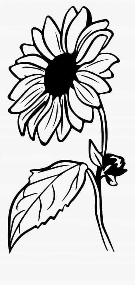 Sunflower Black And White, Sunflower Stencil, Black And White Clipart, Rose Drawing Tattoo, Sunflower Images, Book Clip Art, Flower Pattern Drawing, Art Sunflower, Sunflower Drawing