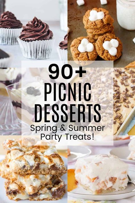 90+ Picnic Dessert Recipes - the sweet treats you need for spring and summer picnics, barbecues, pool parties, and other fun outdoor gatherings. Cakes, cookies, brownies, and more, these easy dessert recipes for a crowd will be a sweet ending to your day, and there are plenty of gluten free options too! Dessert For Picnic, Picnic Dessert Recipes, Summer Picnic Desserts, Summer Bbq Desserts, Dessert Recipes For A Crowd, Picnic Dessert, Recipes For A Crowd, Easy Party Desserts, Picnic Desserts