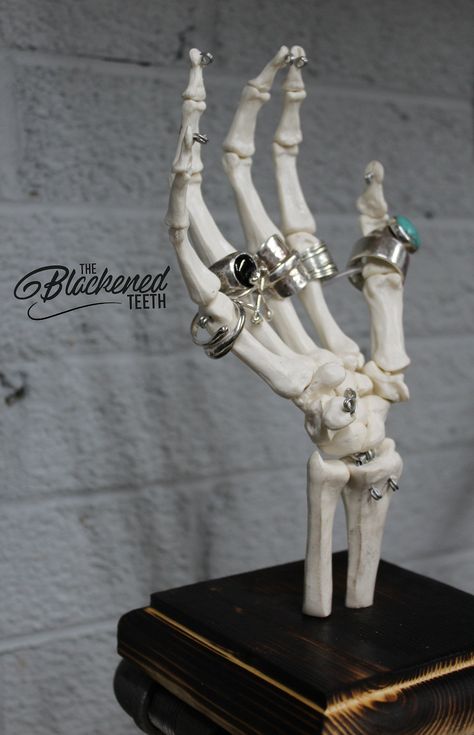 Skeleton Ring Holder - Jewellery Stand - Ring Tree - Skull Decor Skeleton Hand Jewelry, Blackened Teeth, Life Size Skeleton, Skeleton Jewelry, Arm Bones, Skeleton Ring, Hand Jewellery, Ring Tree, Jewellery Stand