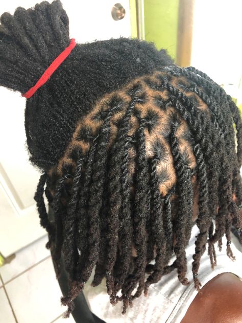 2 Strand Twist, Two Strand Twist, Locs, Dreadlocks, Twist