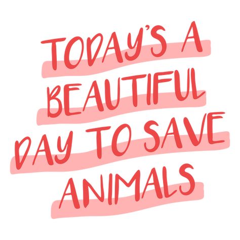 Beautiful day to save animals veterinarian quote PNG Design Vet Assistant Quotes, Veterinary Motivational Quotes, Vet Quotes Motivation, Vet Med Quotes, Veterinary Technician Quotes, Veterinary Medicine Quotes, Save Animals Quotes, Veterinary Quotes, Vet Quotes