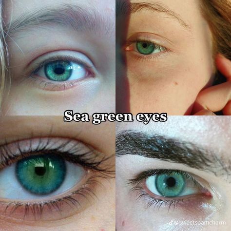 Sea Eyes Aesthetic, Sea Green Eyes, Pretty Eyes Color, Rare Eye Colors, Eye Colours, Eye Color Chart, Rare Eyes, Eyes Aesthetic, Skin And Hair Clinic