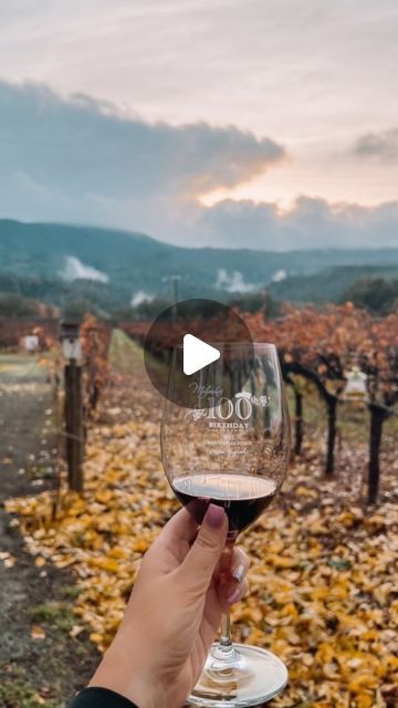 Sasha Bonar on Instagram: "Grab a wine passport and get VIP access to 12 of Napa Valley’s favorite wineries for $95! 🍷

#napavalley #sthelena #mysthelena #visitsthelena #visitnapavalley #winetasting #visitnapa" St Helena, Napa Valley, Vacation Ideas, Wine Tasting, Wine, Travel, On Instagram, Instagram