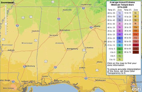 Dates Plant, Alabama Gardening, Southern Gardening, Gardening Basics, Vegetable Planting Guide, Date Plant, Pumpkin Vine, Hardiness Zones, Gardening Zones