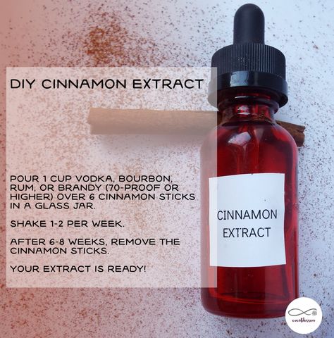 Diy Extracts, Make Vanilla Extract, Vanilla Extract Recipe, Cinnamon Extract, Diy Cinnamon, Rum Extract, Homemade Vanilla Extract, Homemade Spices, Homemade Seasonings