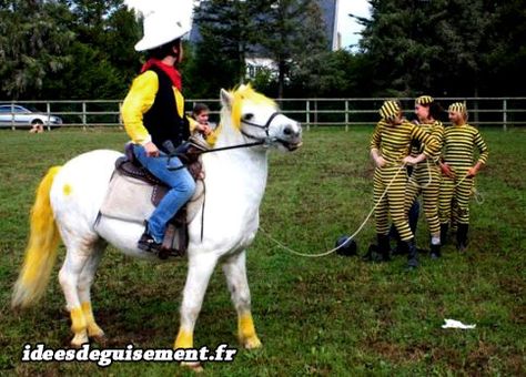 Lucky Luke, Cat Toys, Halloween Costumes, Batman, Horses, Toys, Halloween, Animals