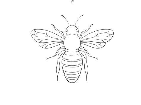 Insect Tattoo Stencil, Bee Line Tattoo, Bee Outline Tattoo, Bee Tattoo Stencil, Bee Line Drawing, Bee Outline, Butterfly Stencils, Snail Art, Bee Drawing