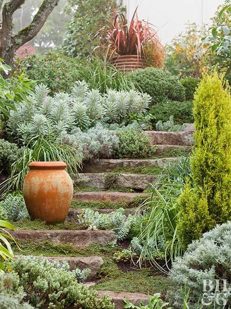 Connect two levels with a curving stairway that minimizes the severity of the slope. Drought-resistant groundcovers and succulents prevent erosion on steep grades and make the journey more interesting. Garden Stairs Ideas, Terraced Slope, Sloped Landscaping, Garden Slope, Slope Garden, Hillside Gardens, Slope Landscaping, Landscaping A Slope, Garden Problems