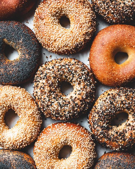 New York Style Bagels — The Boy Who Bakes Different Breads, The Boy Who Bakes, New York Style Bagels, How To Make Bagels, Bagel Dip, New York Bagel, Best Bagels, Bread Bakery, Cronut